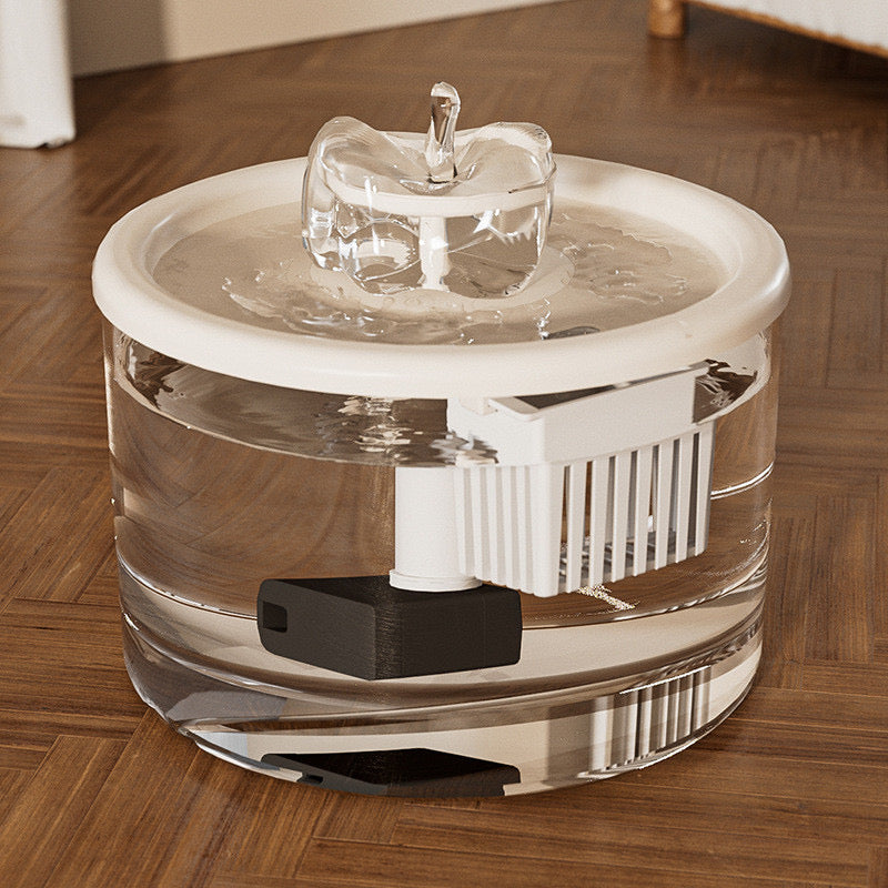 น้ำพุแมว