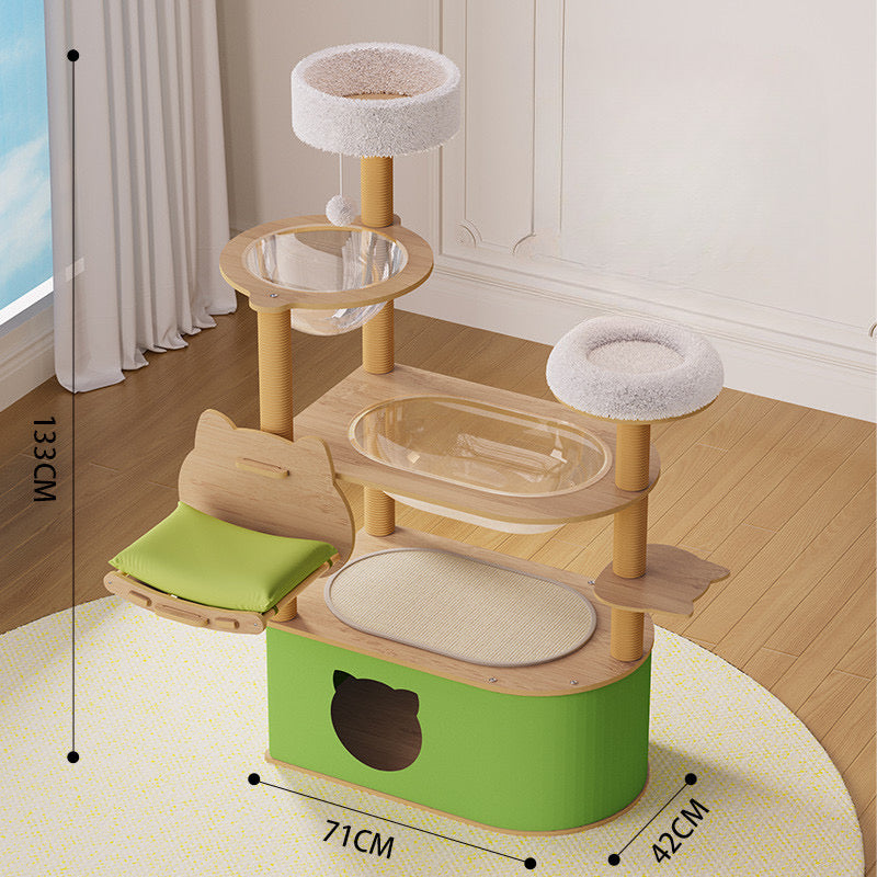 คอนโดแมว