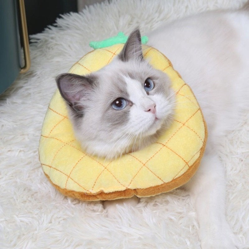 คอลล่า