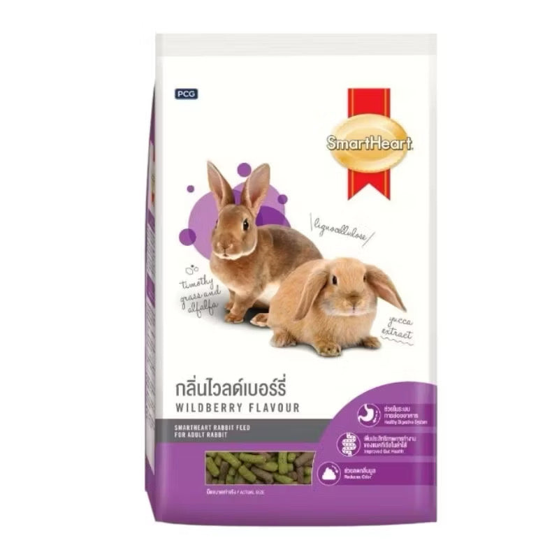 SmartHeart Rabbit