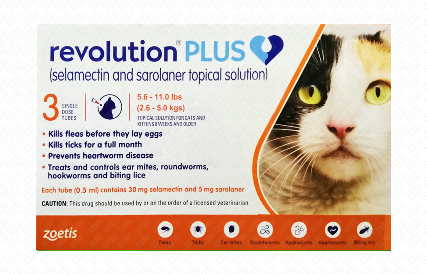 Revolution
