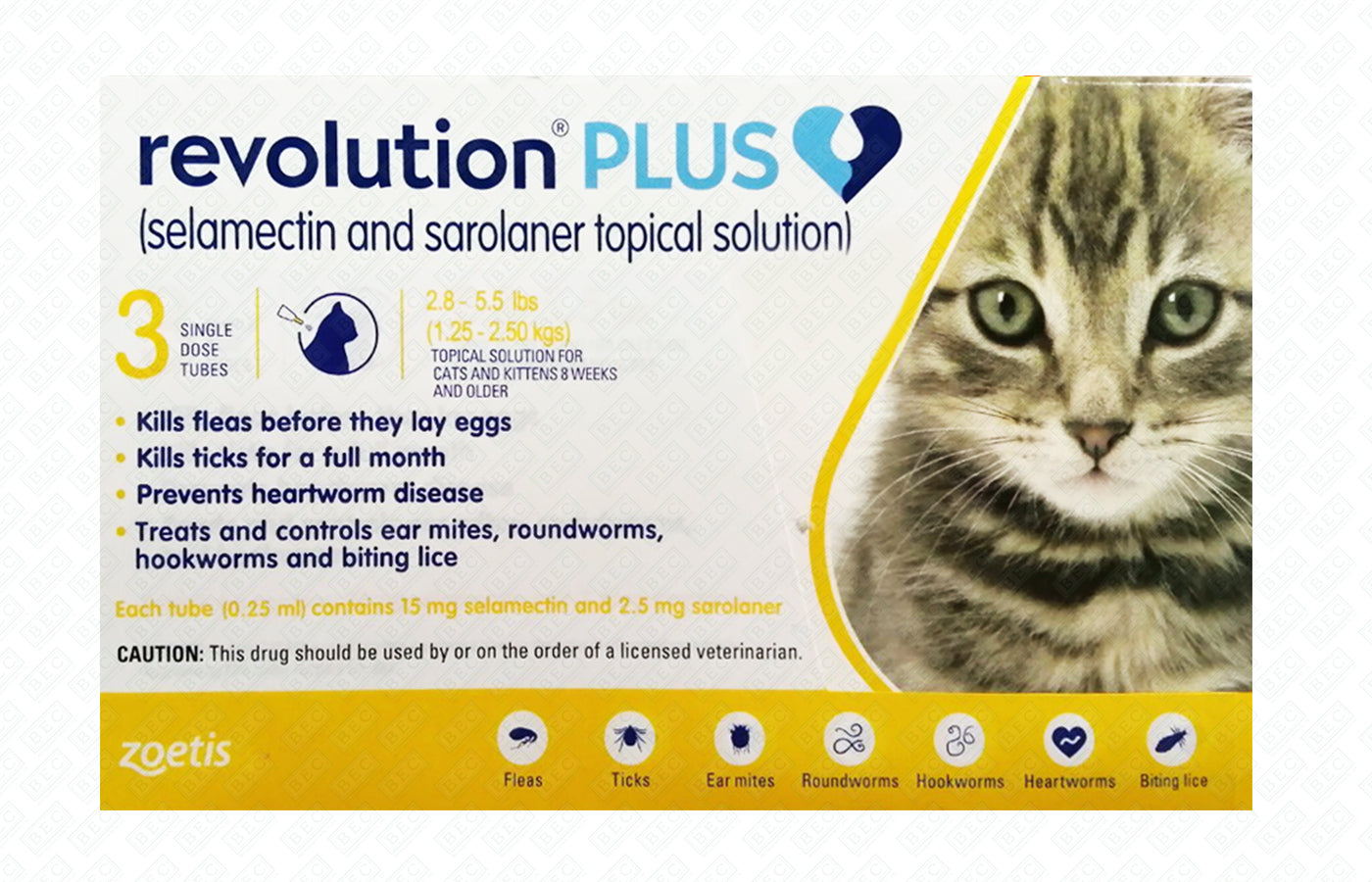 Revolution