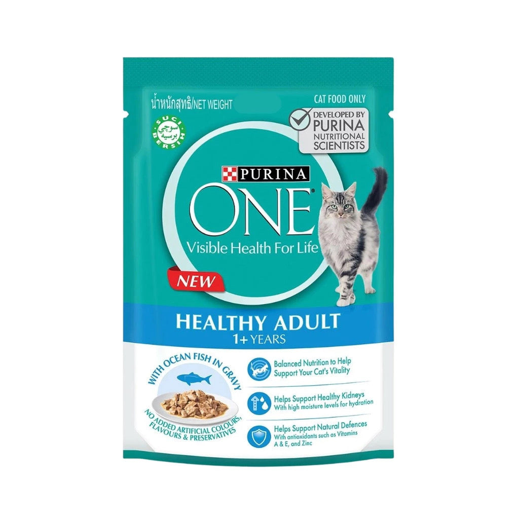 Purina One Pouch