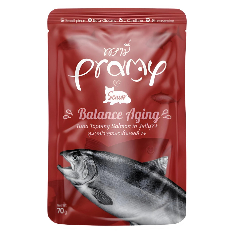 Pramy functional Pouch