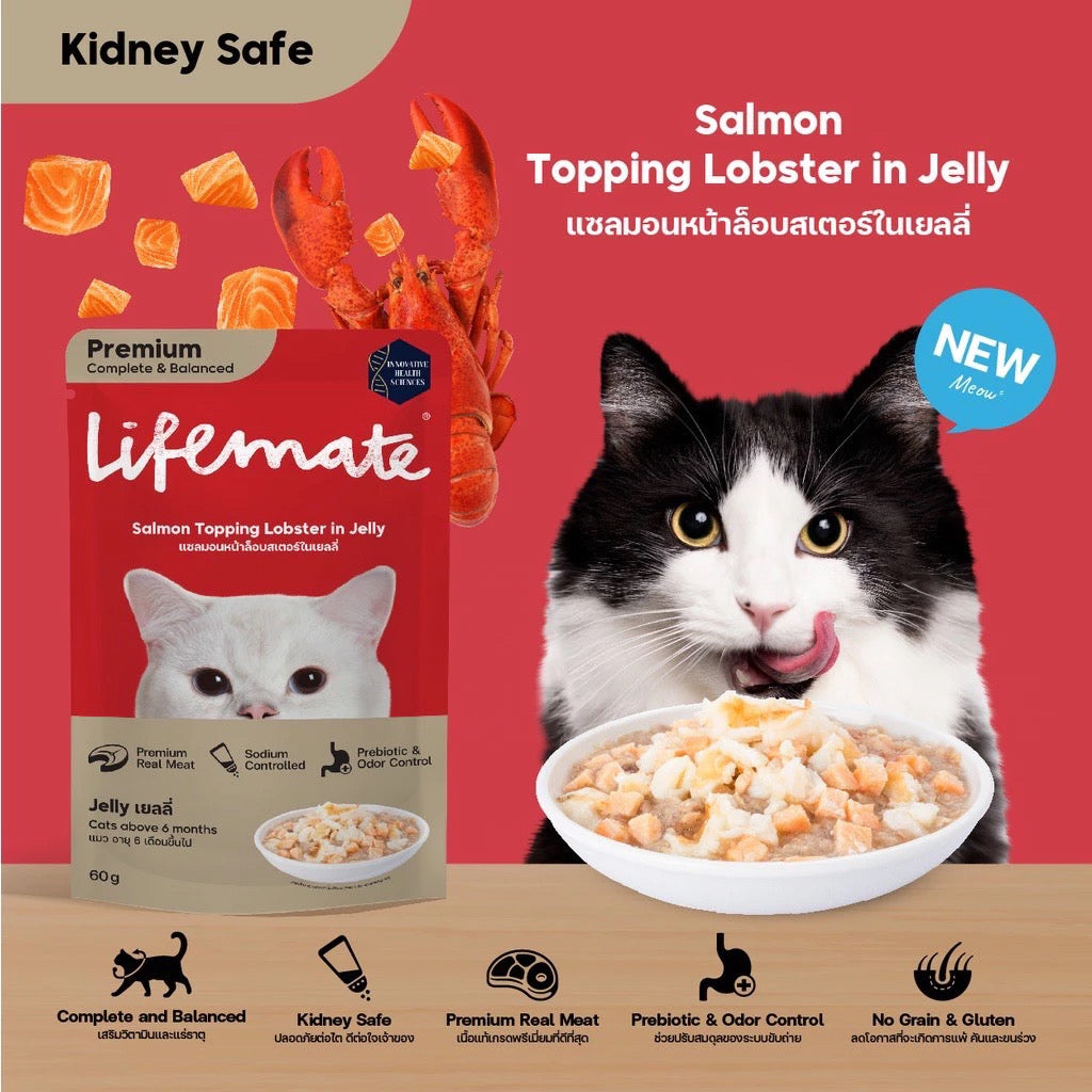 Lifemate Cat Pouch