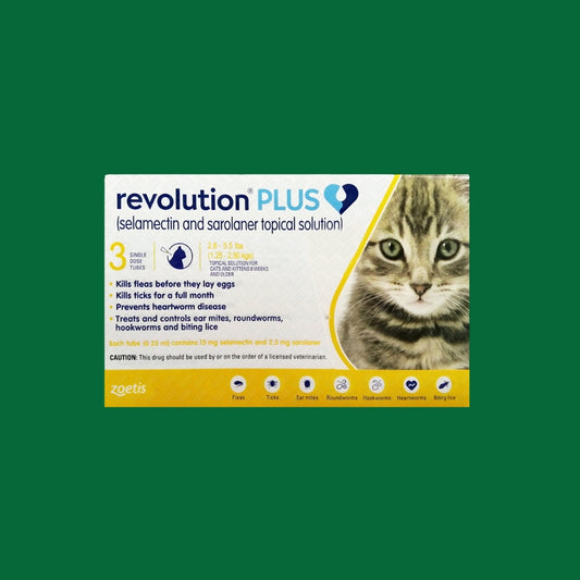 Revolution Box