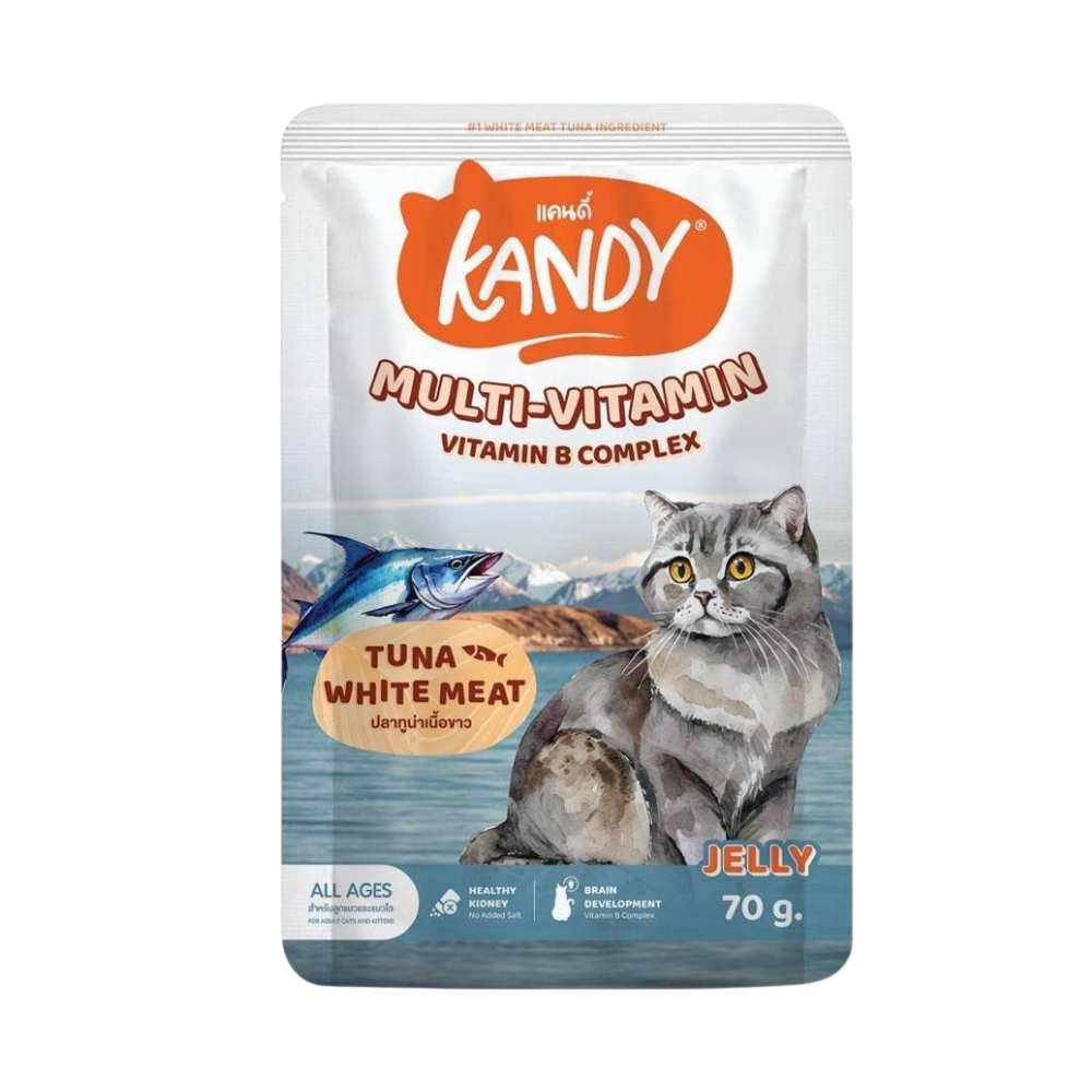 Kandy Pouch