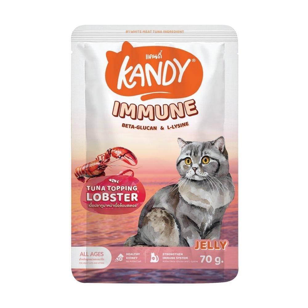 Kandy Pouch
