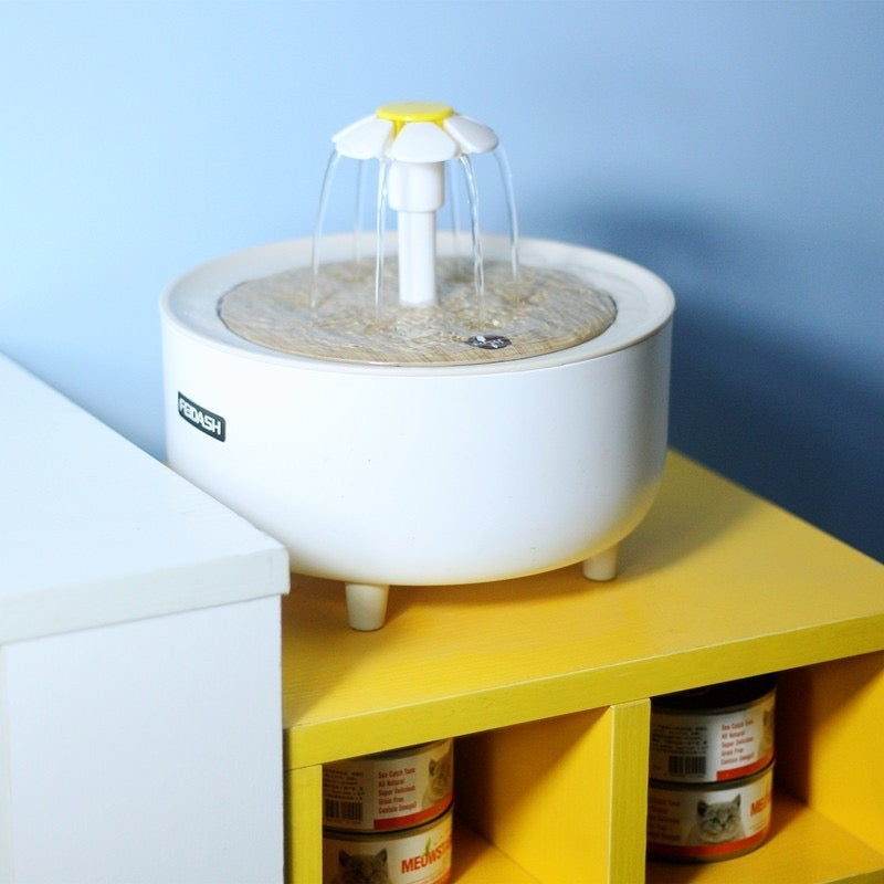 น้ำพุแมว