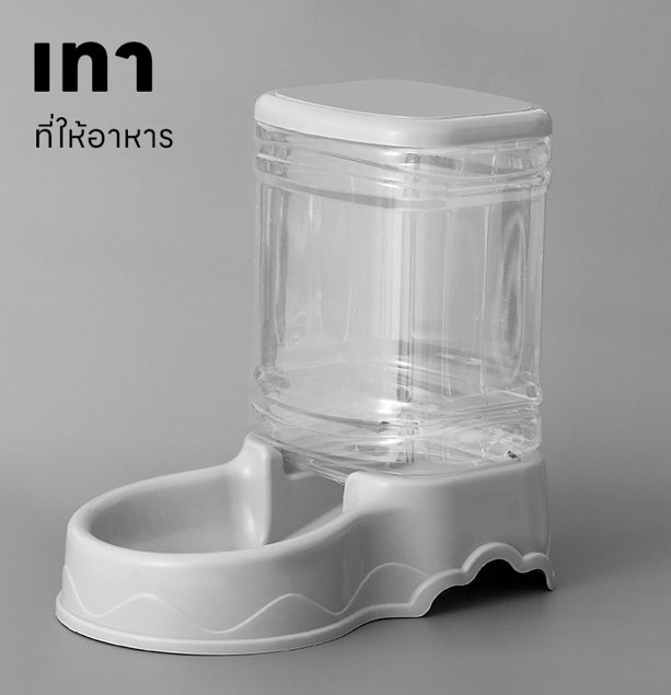 ชามใส่อาหาร