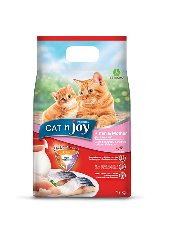 Cat n joy