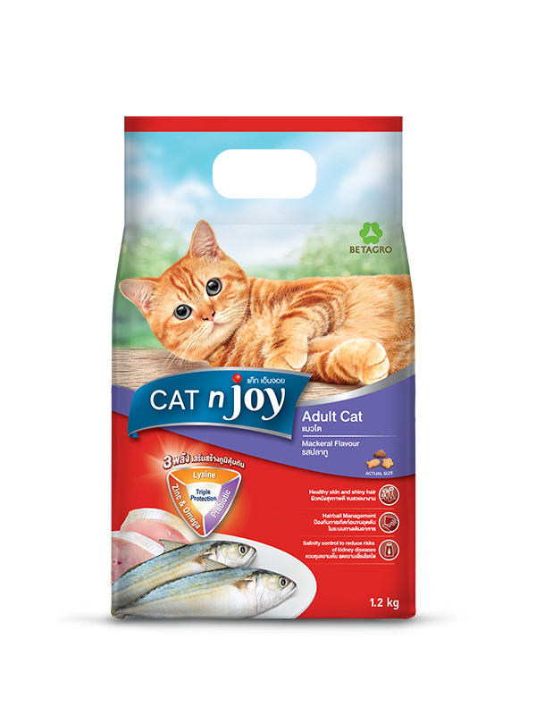 Cat n joy