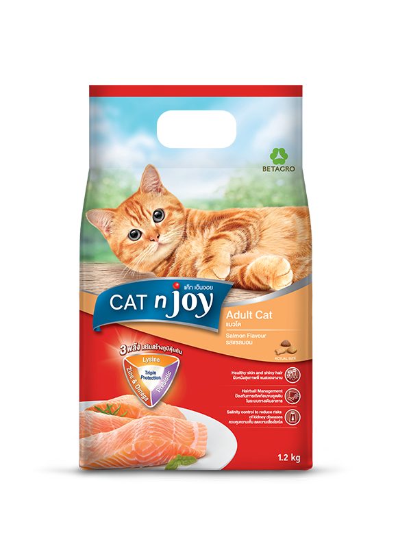 Cat n joy