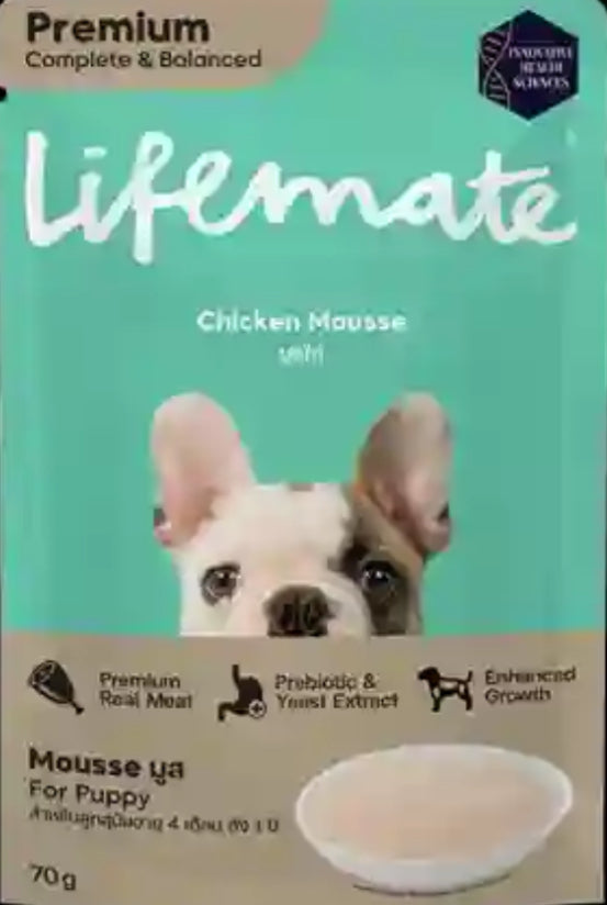 Lifemate Dog