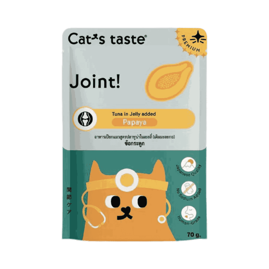 Cat’s Taste Healthy