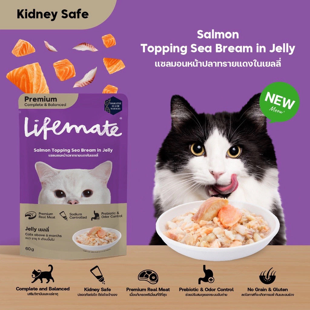 Lifemate Cat Pouch