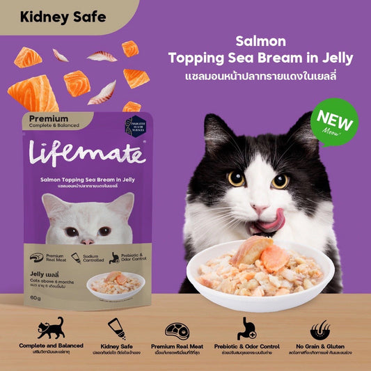 Lifemate Cat Pouch