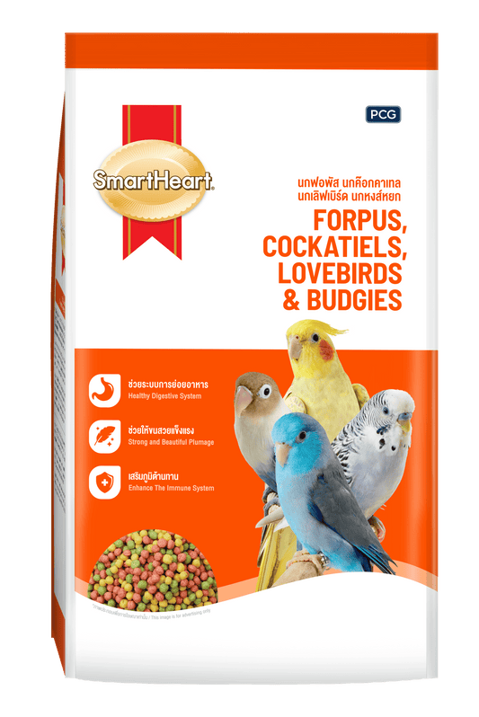 SmartHeart Bird