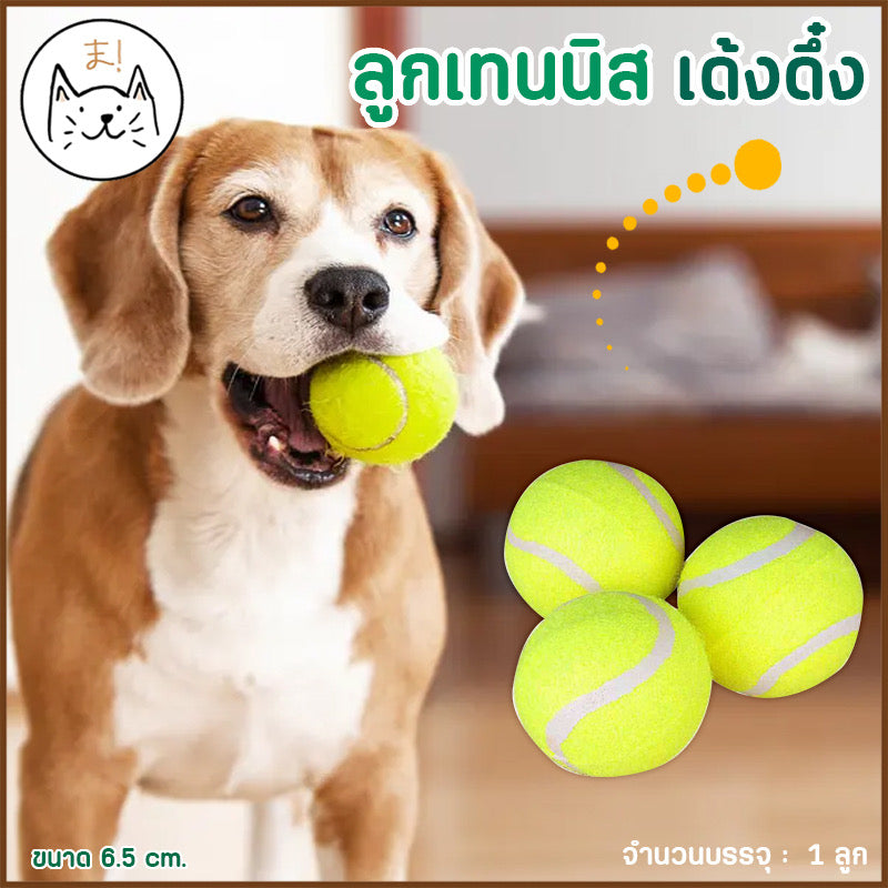 ของเล่นสัตว์เลี้ยง