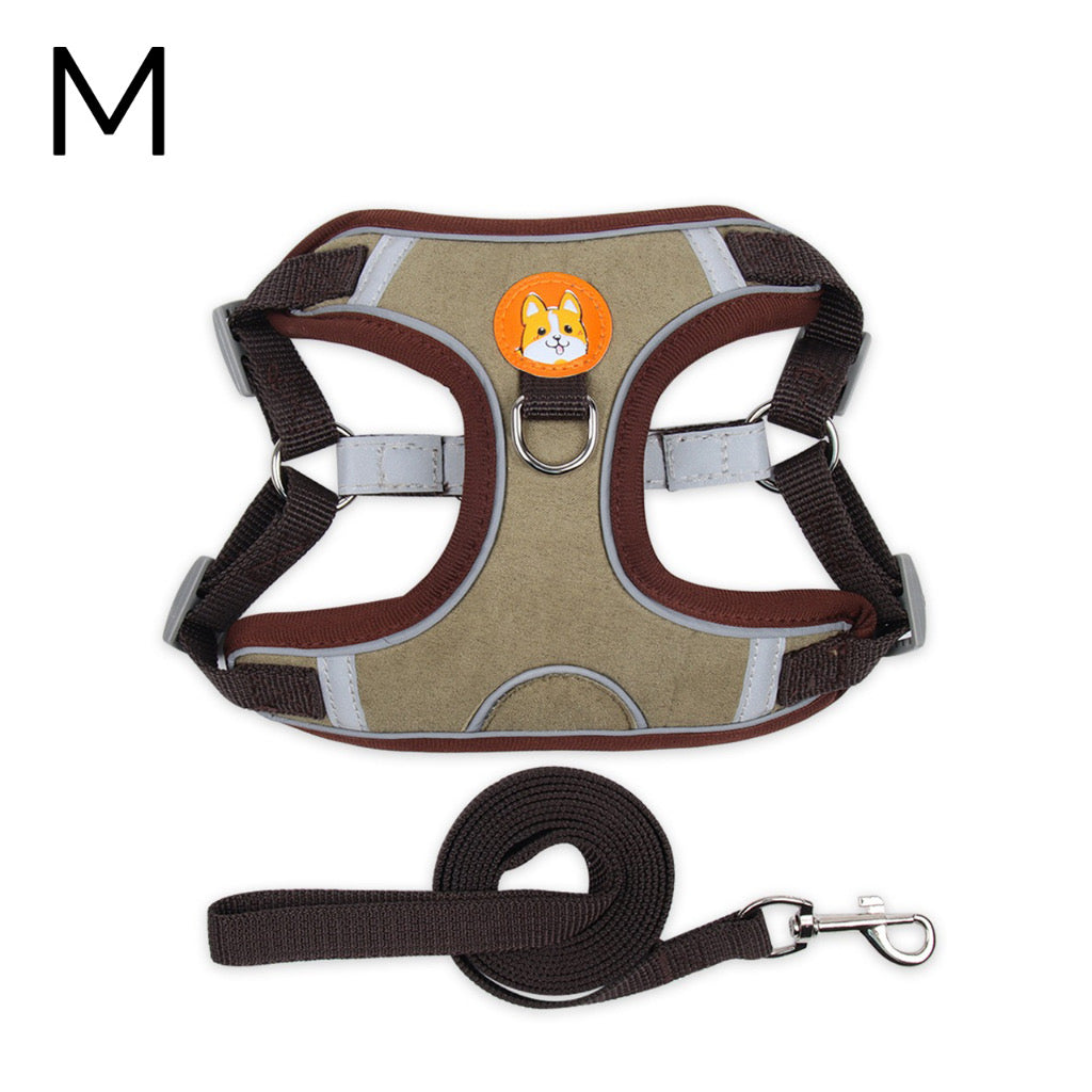 สายจูงสัตว์เลี้ยง