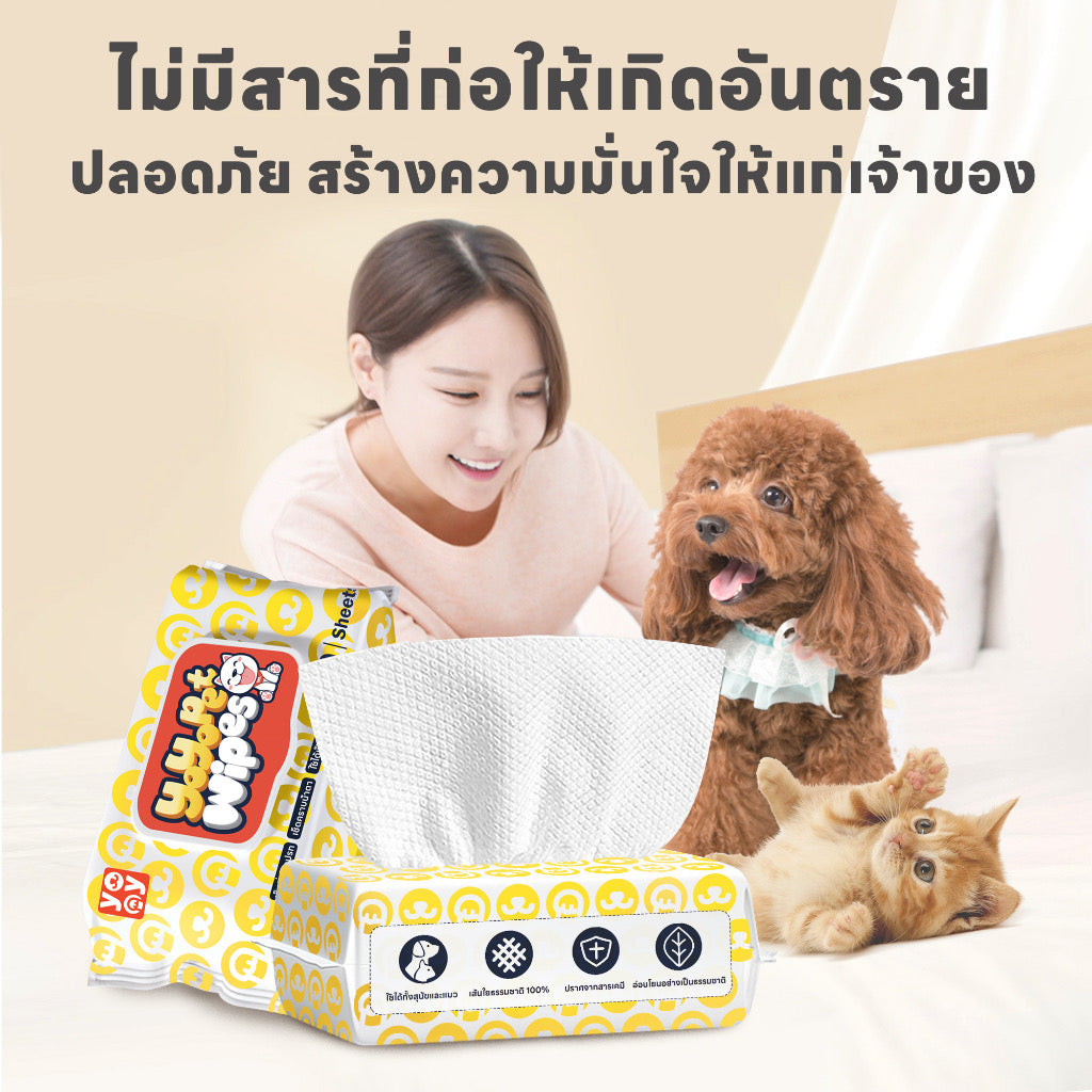 ทิชชู่เปียก