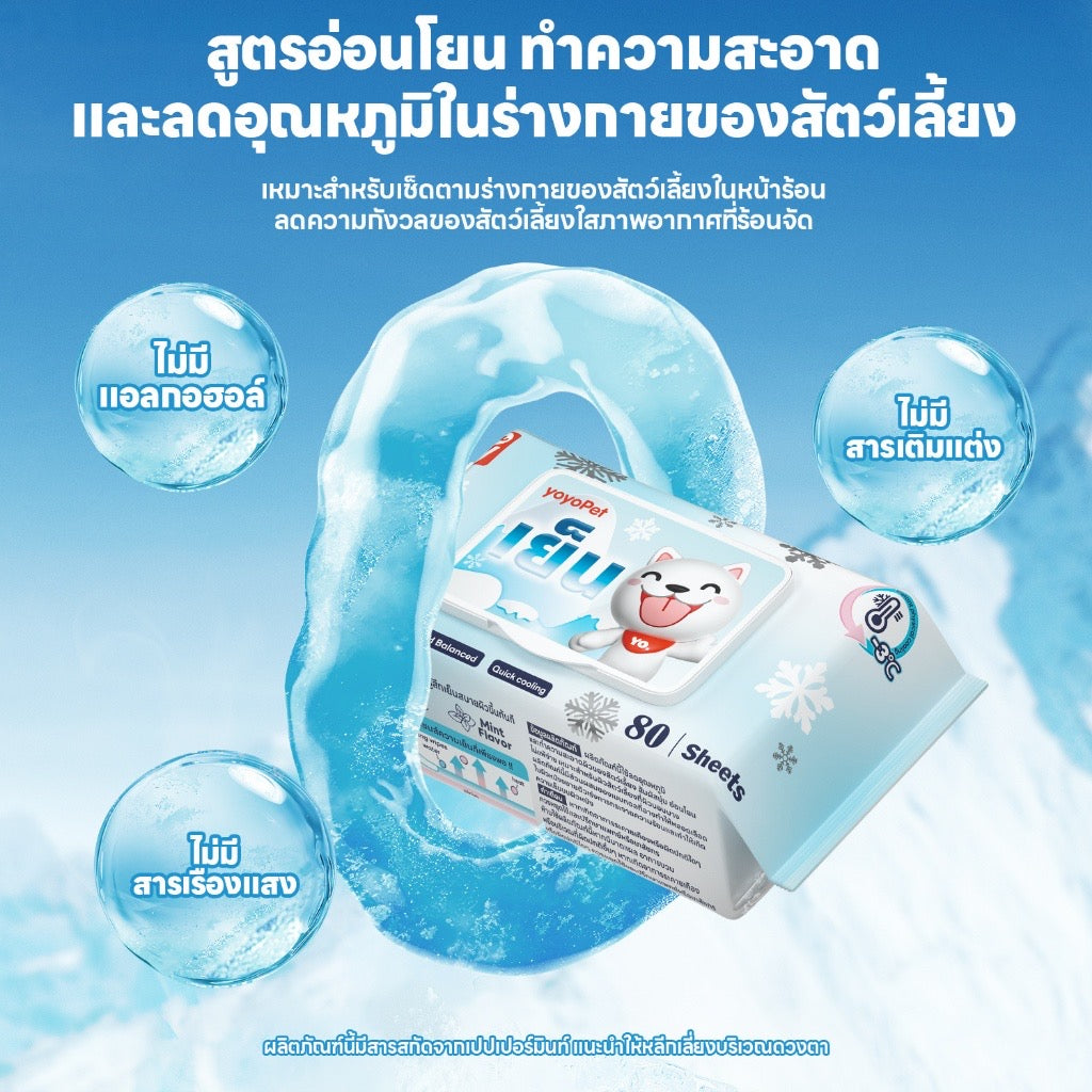 ทิชชู่เปียก