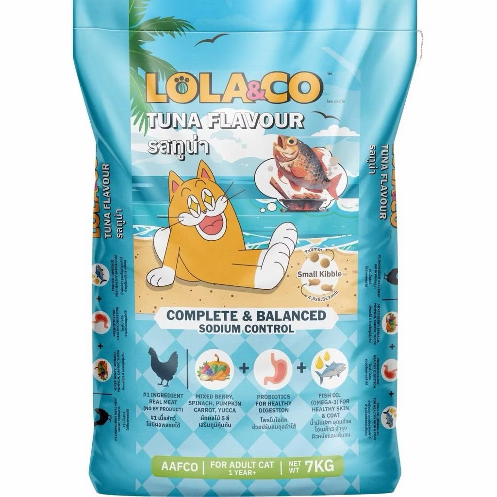 LOLA&Co Cat