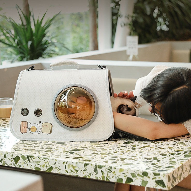 กระเป๋าใส่สัตว์เลี้ยง