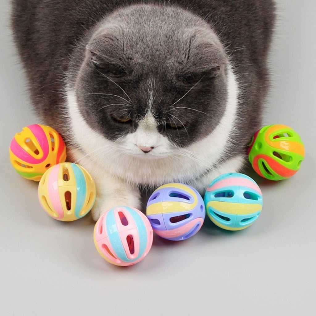 ของเล่นสัตว์เลี้ยง