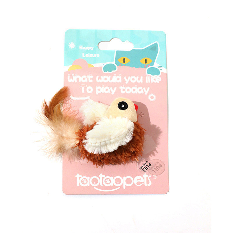 Cat Toys