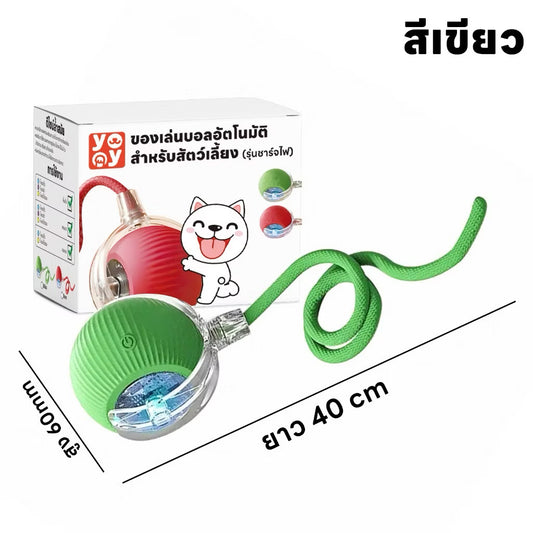 ลูกบอลอัตโนมัติ