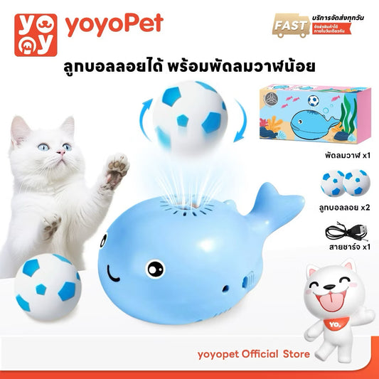 พัดลมวาฬน้อย