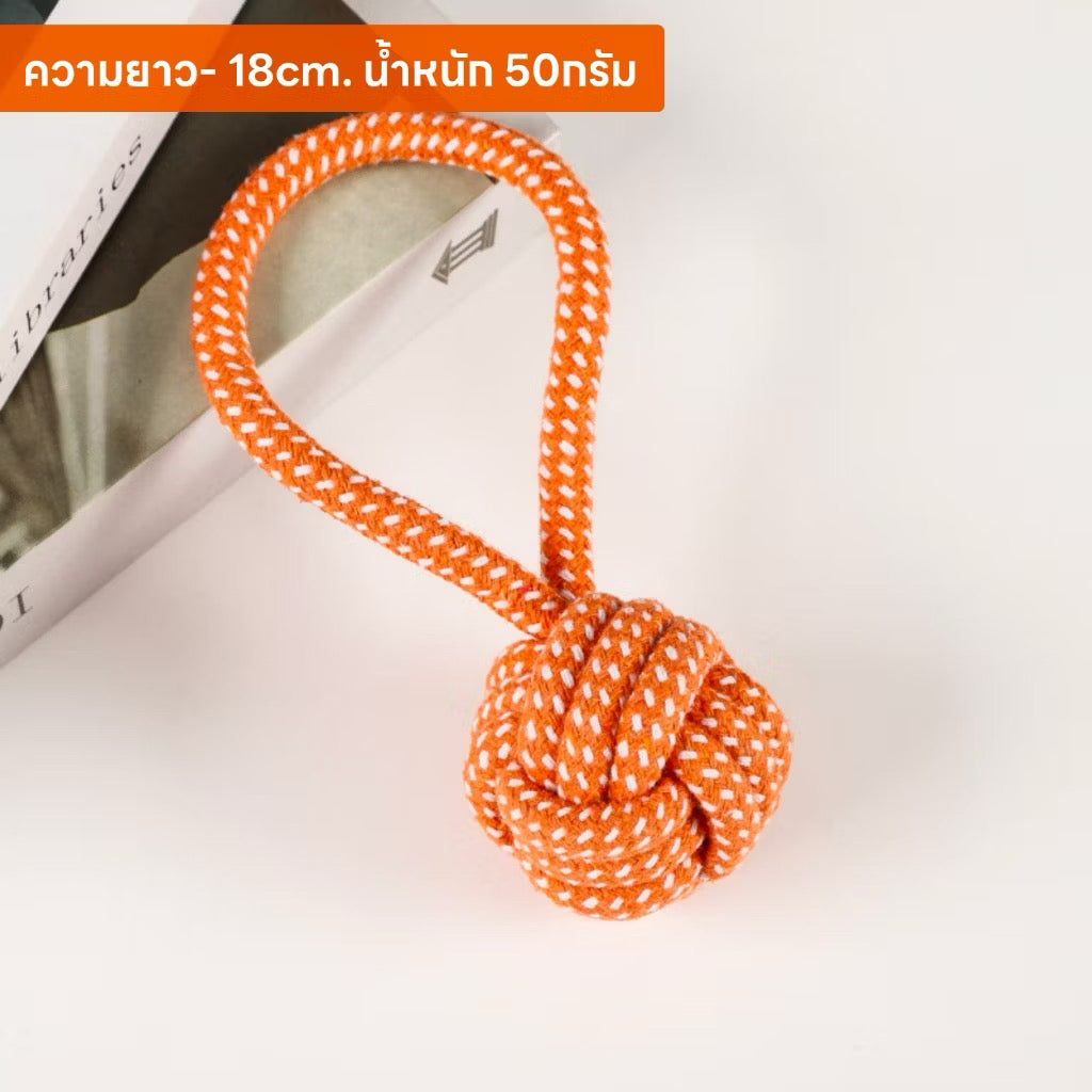 เชือกกัดสุนัข