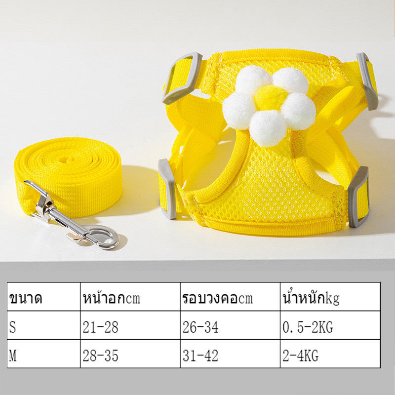 สายจูงสัตว์เลี้ยง