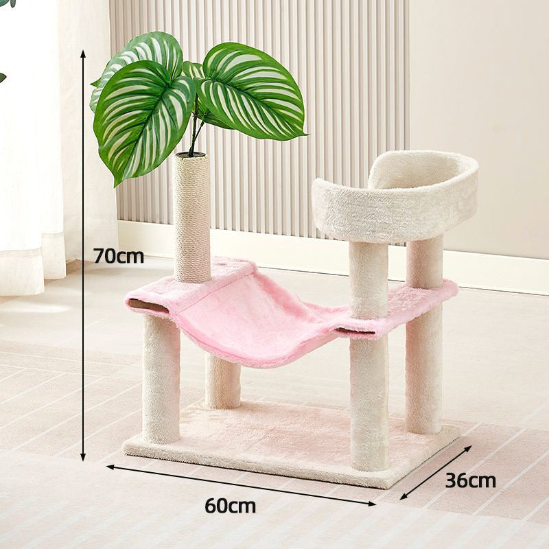 คอนโดแมว