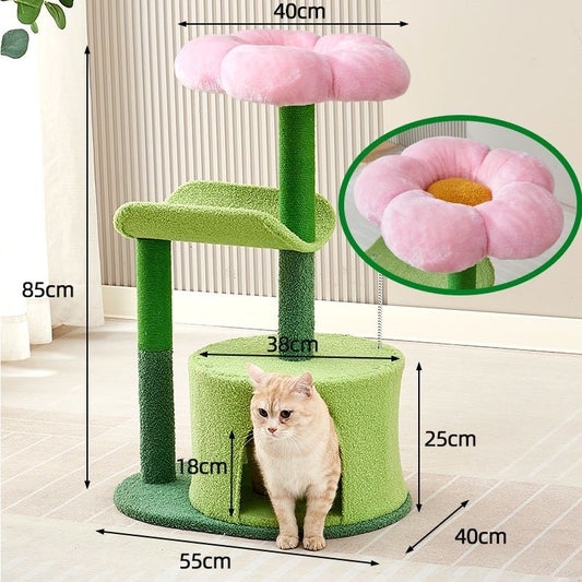 คอนโดแมว