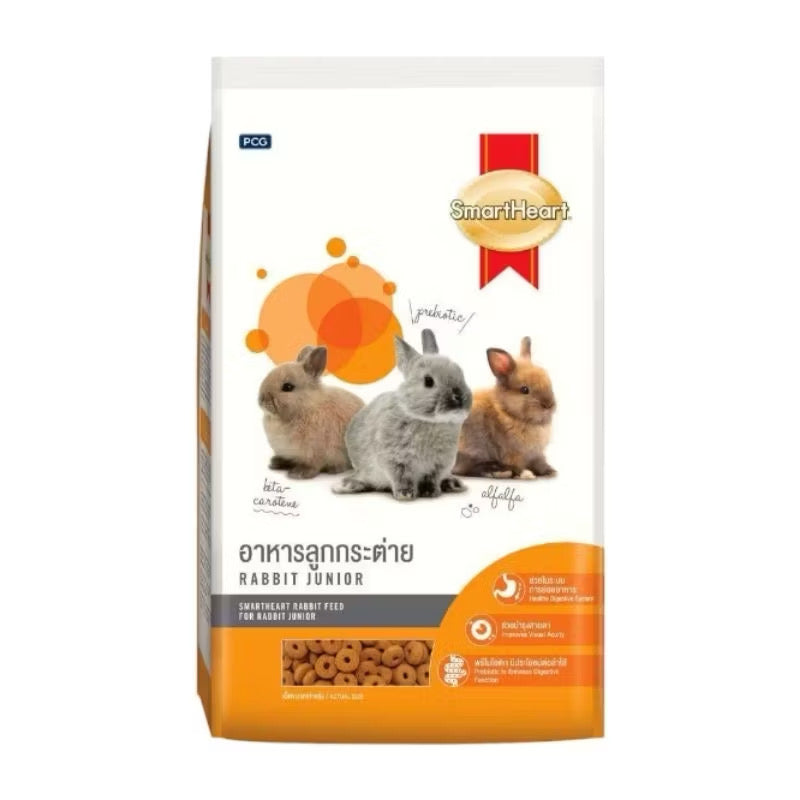 SmartHeart Rabbit