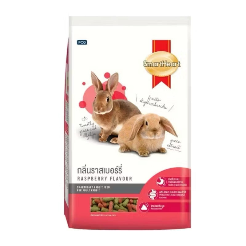 SmartHeart Rabbit
