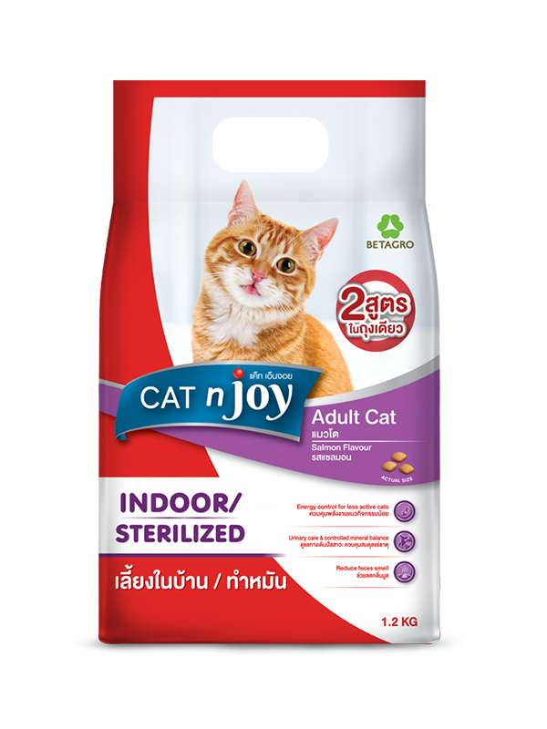 Cat n joy
