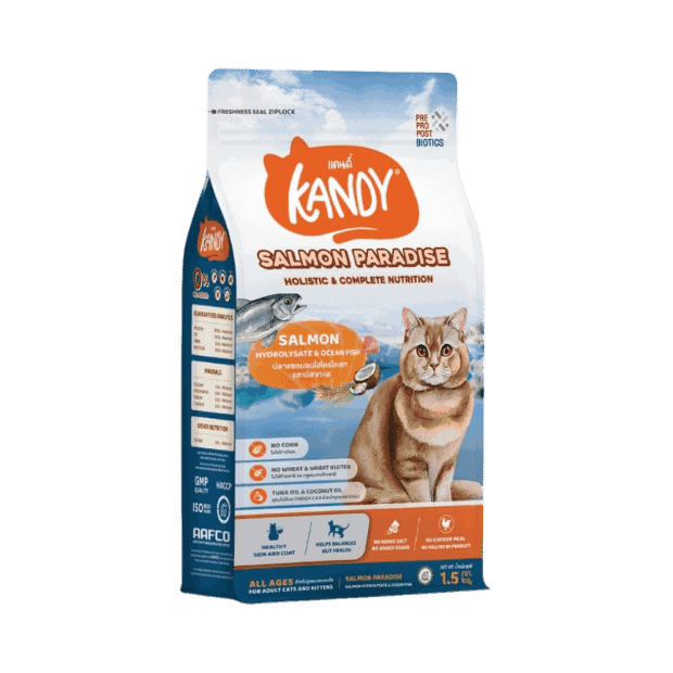 Kandy