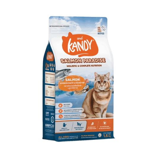 Kandy