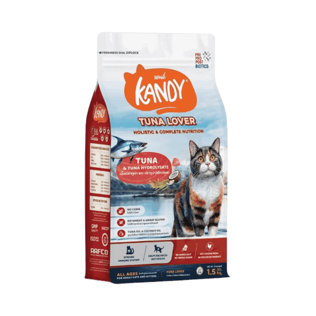 Kandy