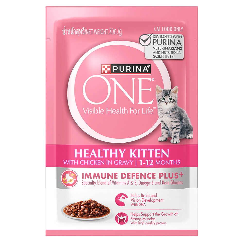 Purina One Pouch