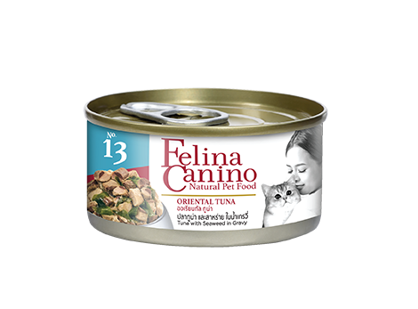 FelinaCanino