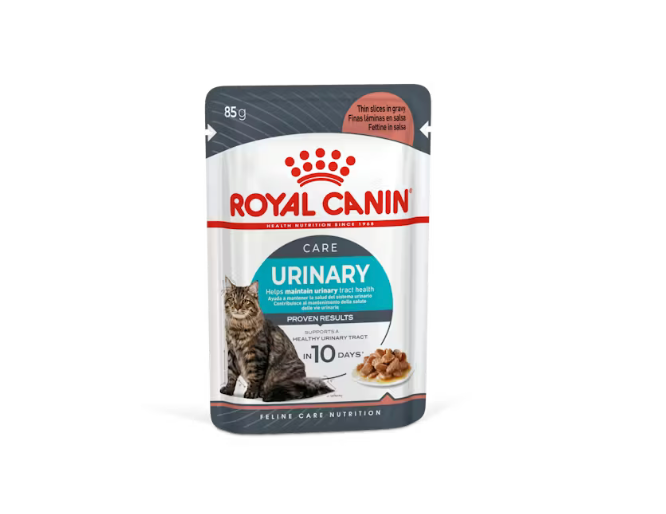 Royal Canin Cat Pouch
