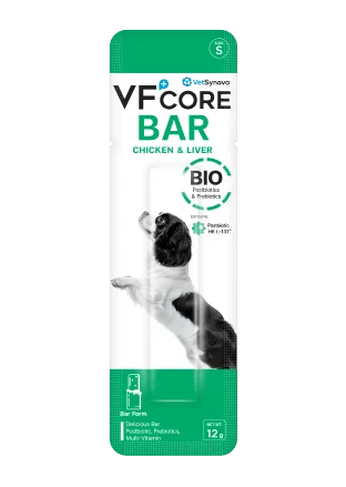VF+core BAR