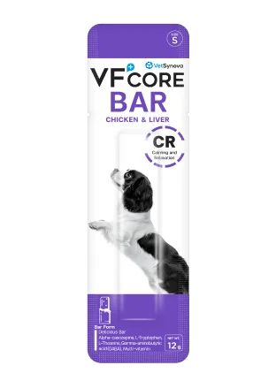 VF+core BAR