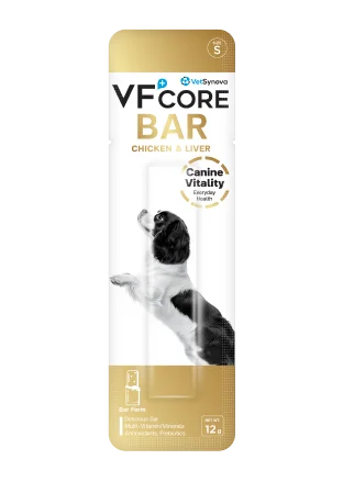 VF+core BAR