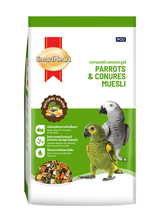 SmartHeart Bird