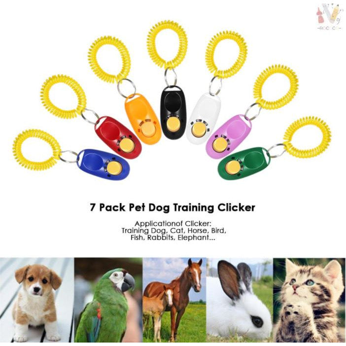 ของเล่นสัตว์เลี้ยง